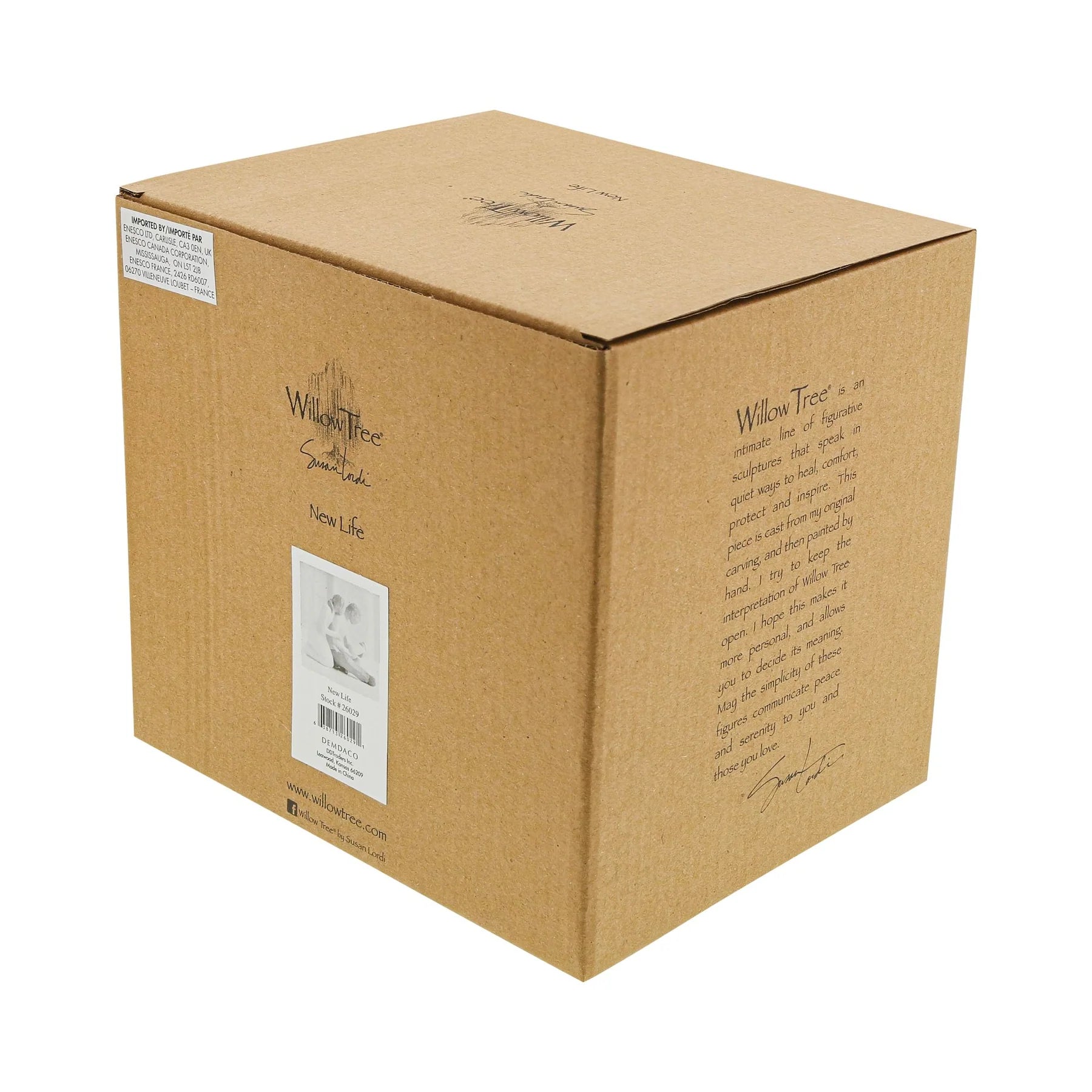 Cardboard presentation box with 'Willow Tree' branding on a white background