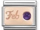 Nomination Italy Charm 430508/02 Classic, S. Steel & 9ct Rose Gold February AMETHYST