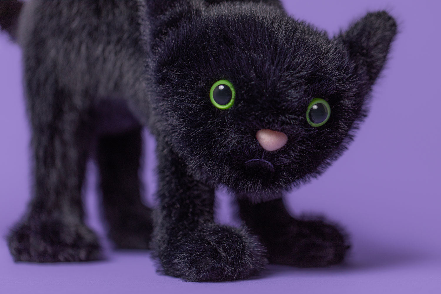 Jellycat Spookipaws Cat Halloween Plush Toy – Curios Gifts