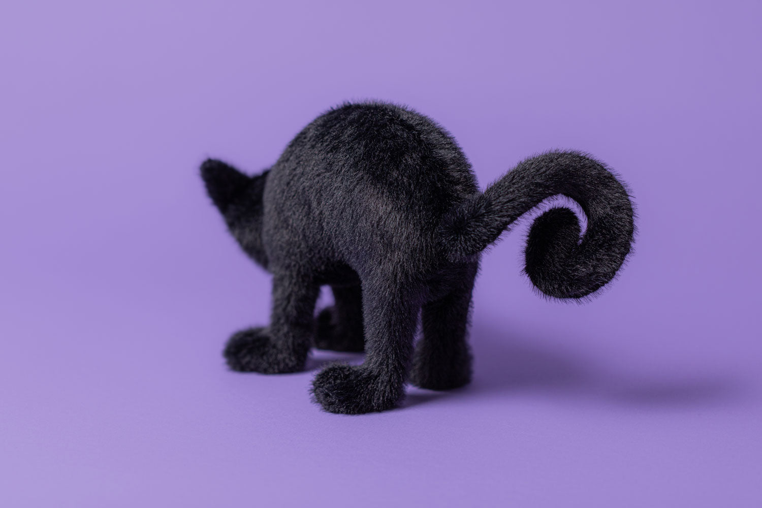 Jellycat Spookipaws Cat Halloween Plush Toy – Curios Gifts