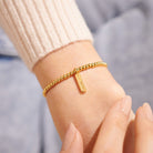 Joma Jewellery Bracelet Joma Jewellery Bracelet - A Little Gold Friendship