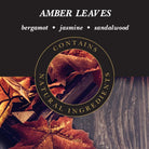 Ashleigh & Burwood Lamp Fragrance Oil Ashleigh & Burwood Lamp Fragrance - Amber Leaves