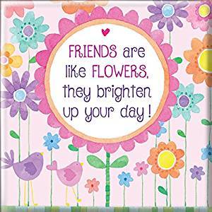Curios Gifts Magnet Heartwarmers Magnet - Friends Are Like Flowers, They Brighten Up Your Day!