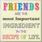 Curios Gifts Magnet Heartwarmers Magnet - Friends Are The Most Important Ingredient In The Recipe Of Life