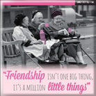 Curios Gifts Magnet Heartwarmers Magnet - Friendship Isn't One Big Thing It's A Million Little Things