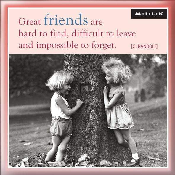 Curios Gifts Magnet Heartwarmers Magnet - Great Friends Are Hard To Find