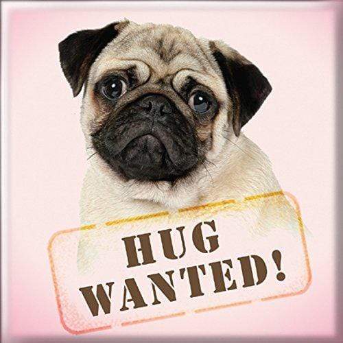 Curios Gifts Magnet Heartwarmers Magnet - Hug Wanted