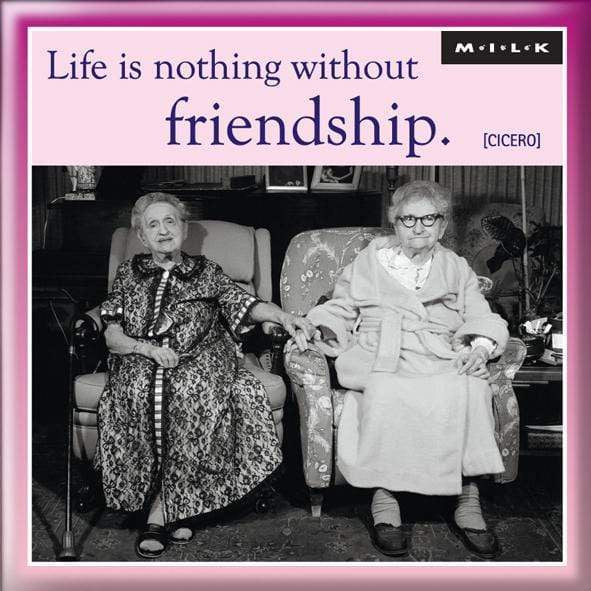 Curios Gifts Magnet Heartwarmers Magnet - Life Is Nothing Without Friendship