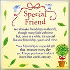 Curios Gifts Magnet Heartwarmers Magnet - Special Friend