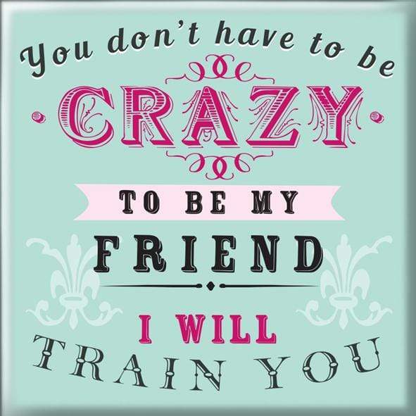 Curios Gifts Magnet Heartwarmers Magnet - You Don't Have To Be Crazy To Be My Friend