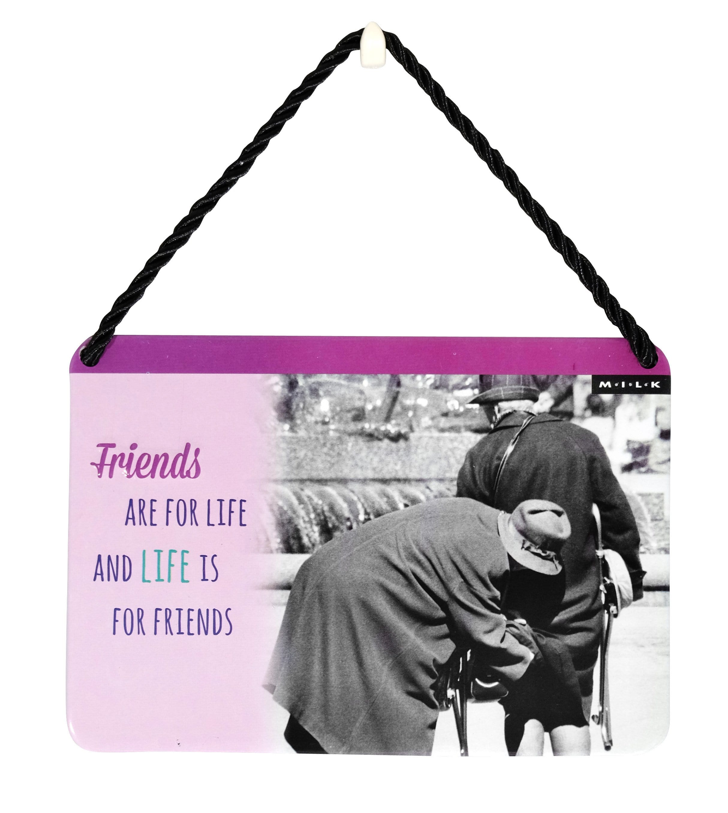 Curios Gifts Plaque Heartwarmers Hang-Ups Plaque - Friends Are For Life