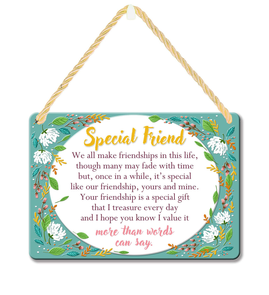Curios Gifts Plaque Heartwarmers Hang-Ups Plaque - Special Friend and Friendship