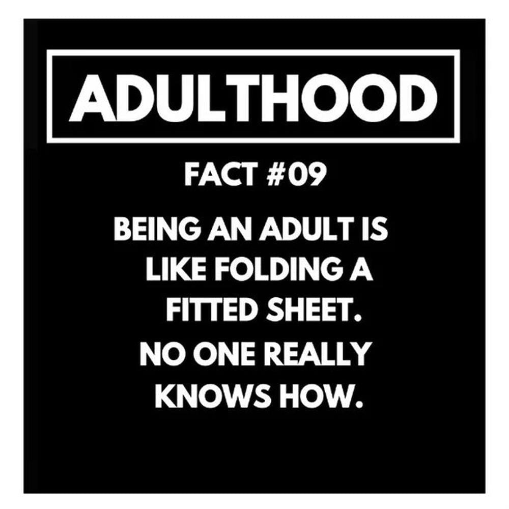 Red Rakoon Greeting Card Funny Greeting Card - Adulthood Fact 9 - No One Really Knows How