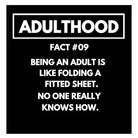 Red Rakoon Greeting Card Funny Greeting Card - Adulthood Fact 9 - No One Really Knows How