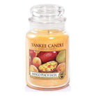 Yankee Candle Large Jar Candle Yankee Candle Large Jar - Mango Peach Salsa
