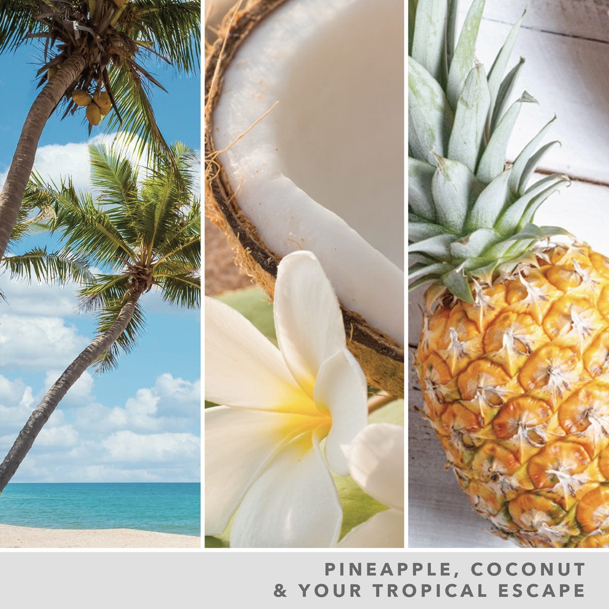 Coconut Beach Giara Media Signature - Yankee Candle