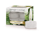 Yankee Candle Tea Lights Yankee Candle Pack of 12 Tea Light Candles - Camelia Blossom