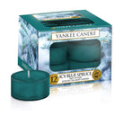 Yankee Candle Yankee Candle Yankee Candle Pack of 12 Tea Light Candles - Icy Blue Spruce